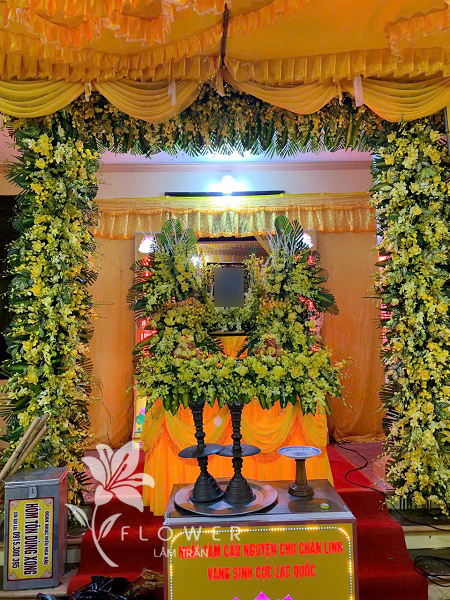 hoa bàn vong