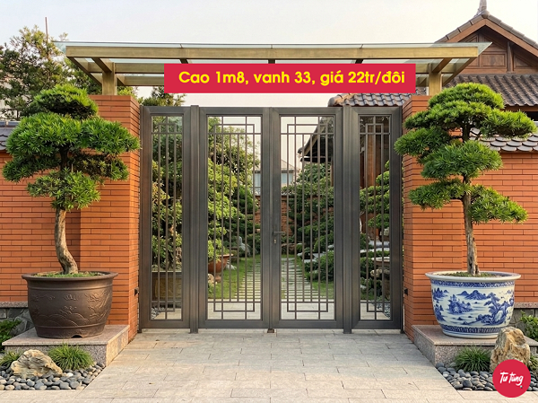 cây tùng la hán đôi trực đẹp tại Nam Định